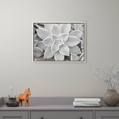 Print photograph black white plant frame 30x40cm Unika 0056 Promotion