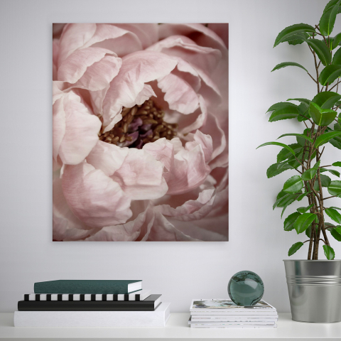 Print flowers painting nature theme frame 40x50cm Variety Duwa Promotion